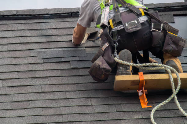 Best Roof Restoration Services  in Deerfield, MI