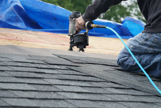 Best Roof Leak Repair  in Deerfield, MI