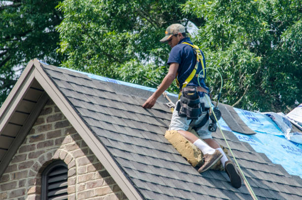 Best New Roof Installation  in Deerfield, MI